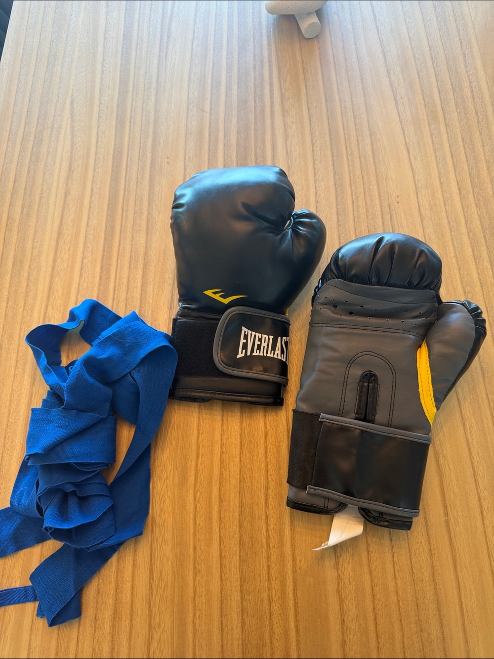 Everlast boxing gloves